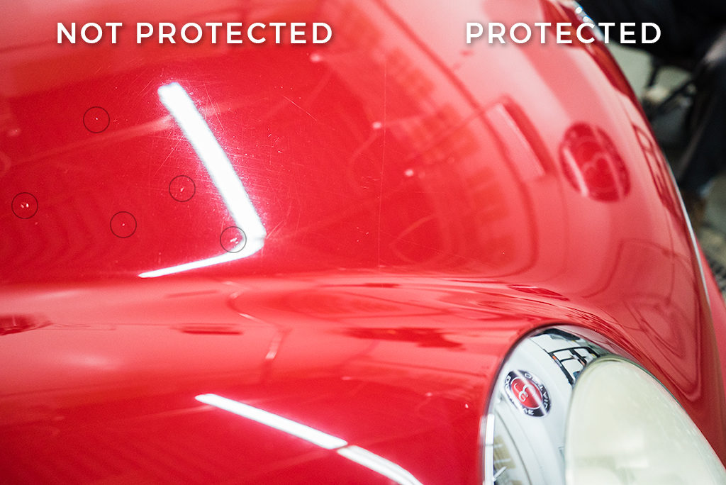 Does PPF Work? Mini Cooper Hood