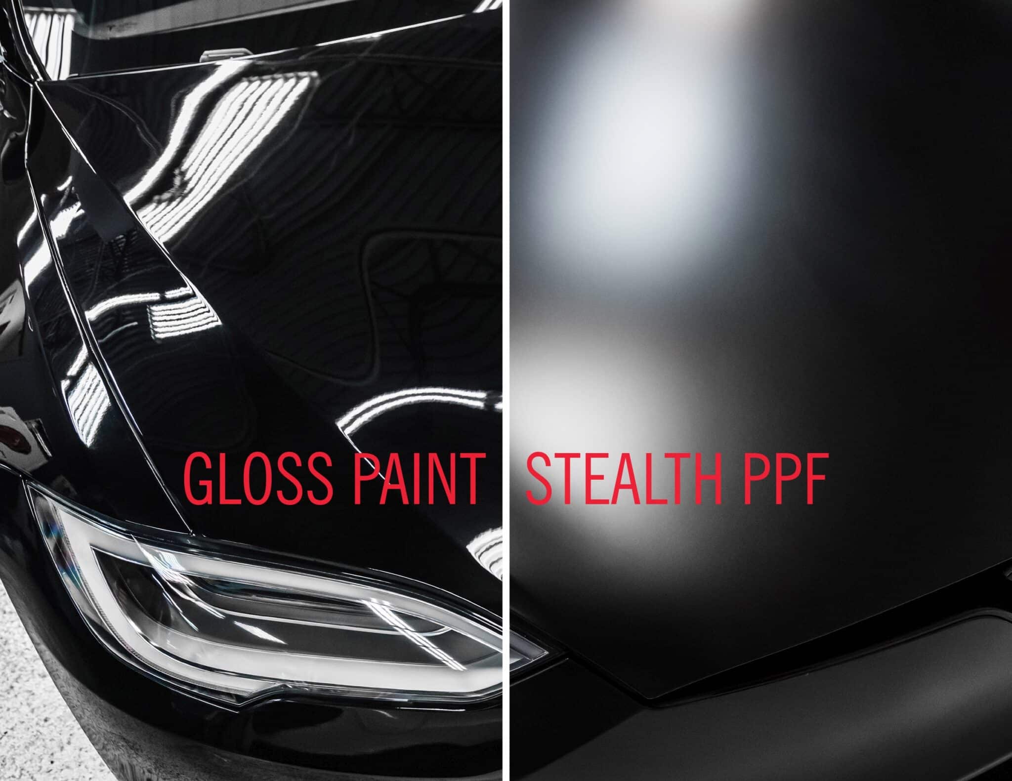 XPEL Charlotte, NC XPEL Paint Protection Installers Near You XPEL